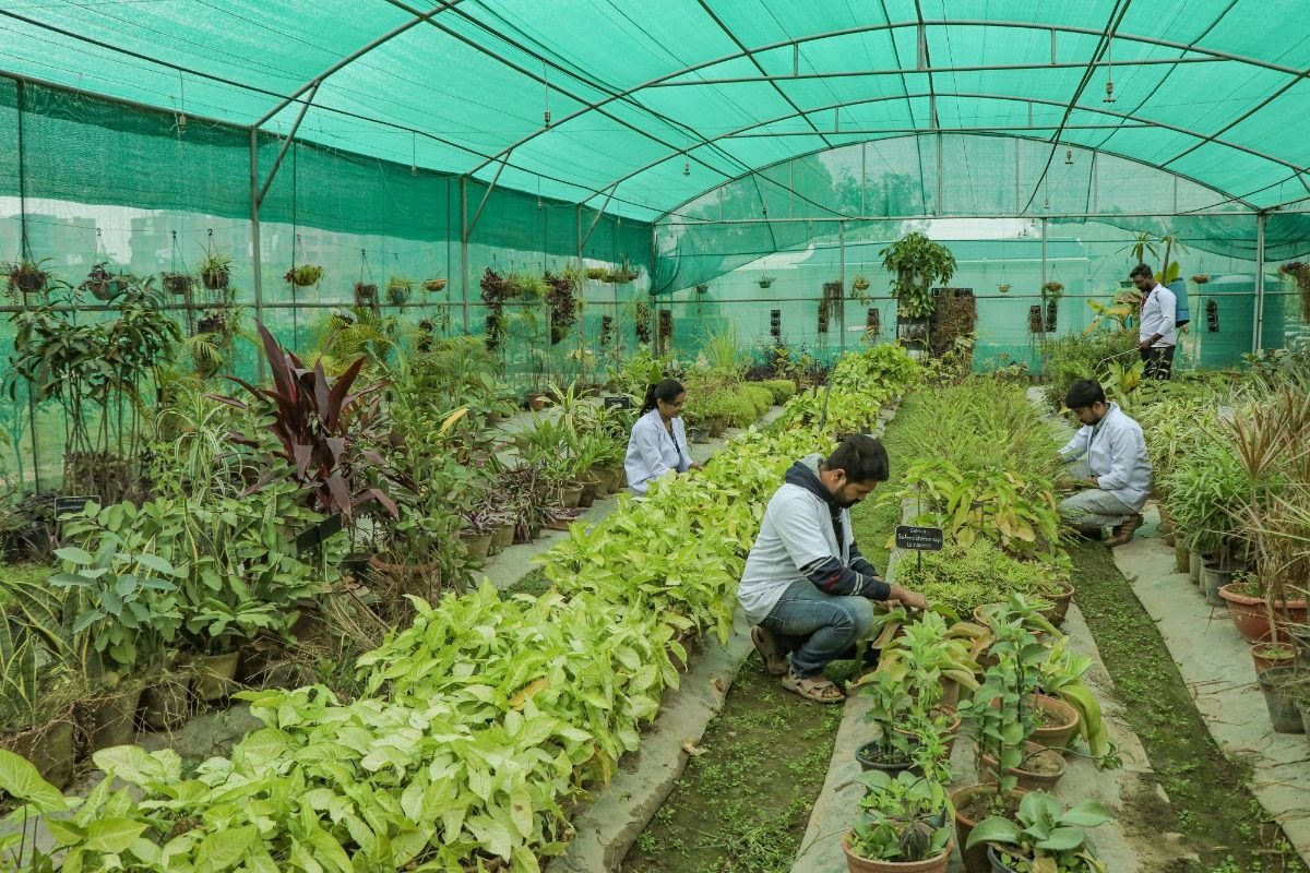 How to Plan a Kenya Agricultural Study Tour That Delivers Practical Results