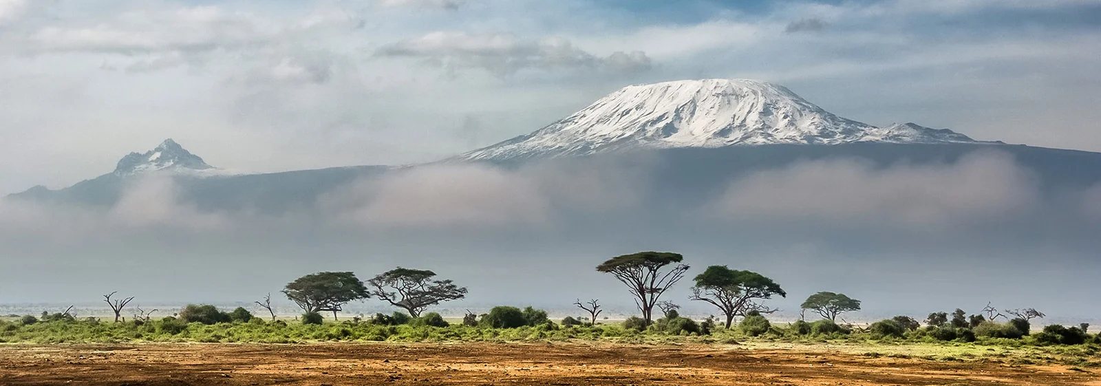 1 Day Amboseli National Park Elephant Safari