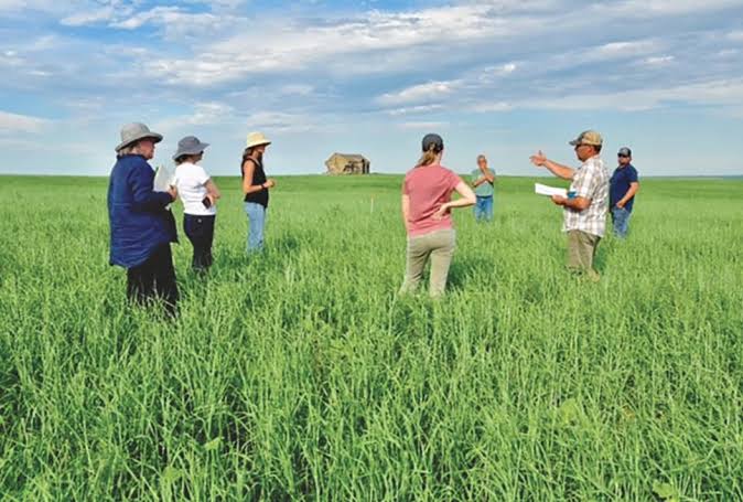 13 Day Canada Prairie Agriculture, Livestock and Food Systems Journey