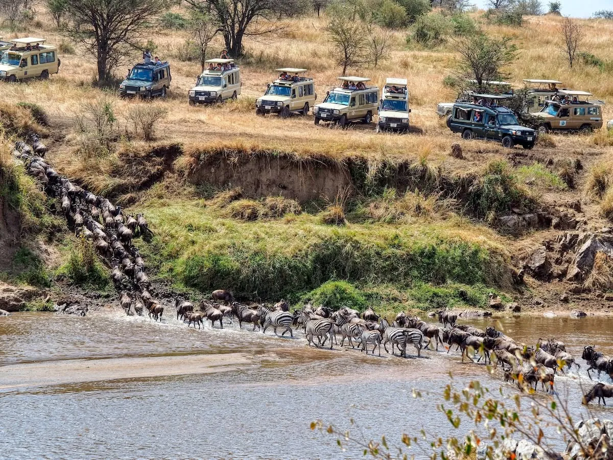 Central Serengeti