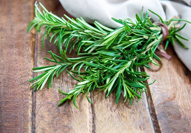 Fresh Rosemary