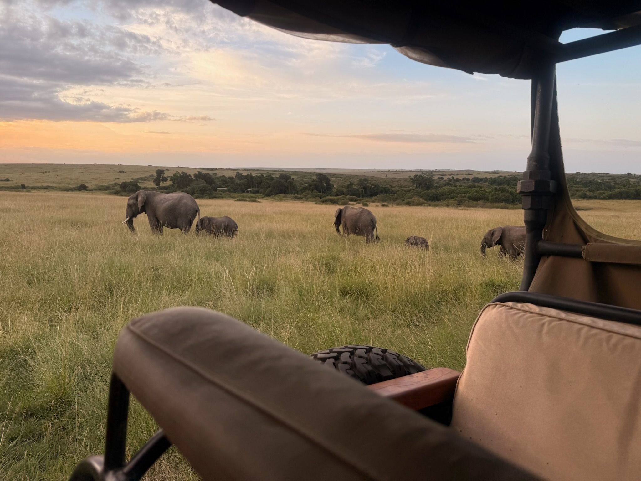10 Day Hell's Gate, Maasai Mara, Serengeti, Tarangire and Amboseli Expedition