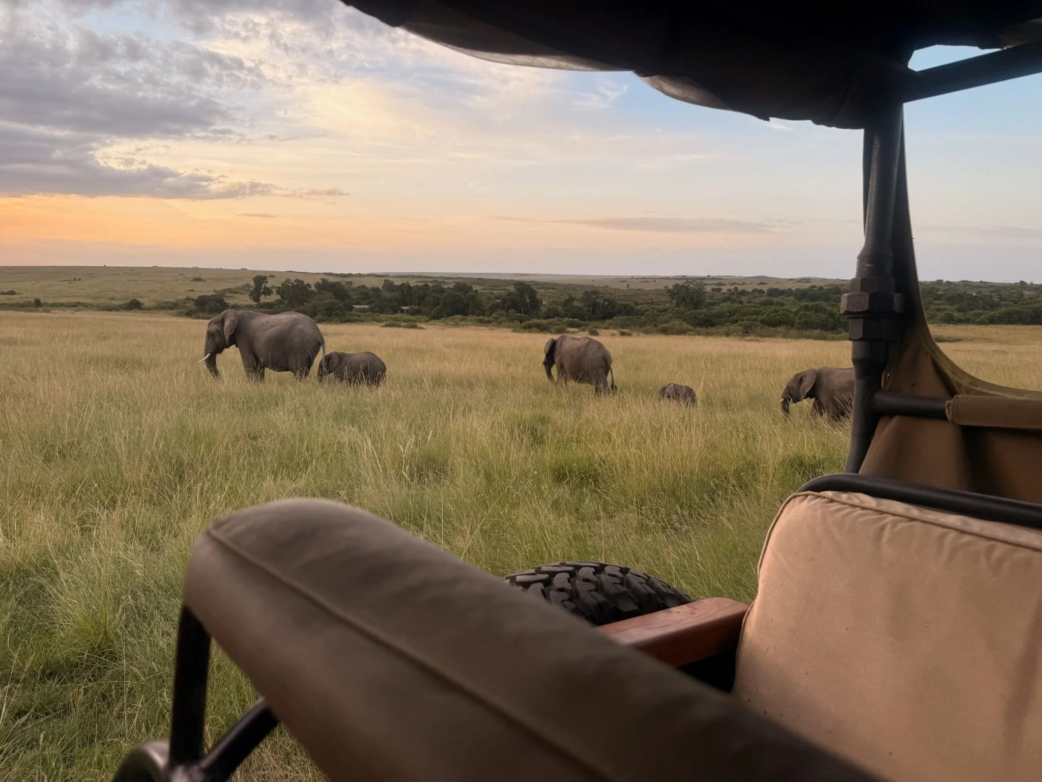 game-drive-masaimara
