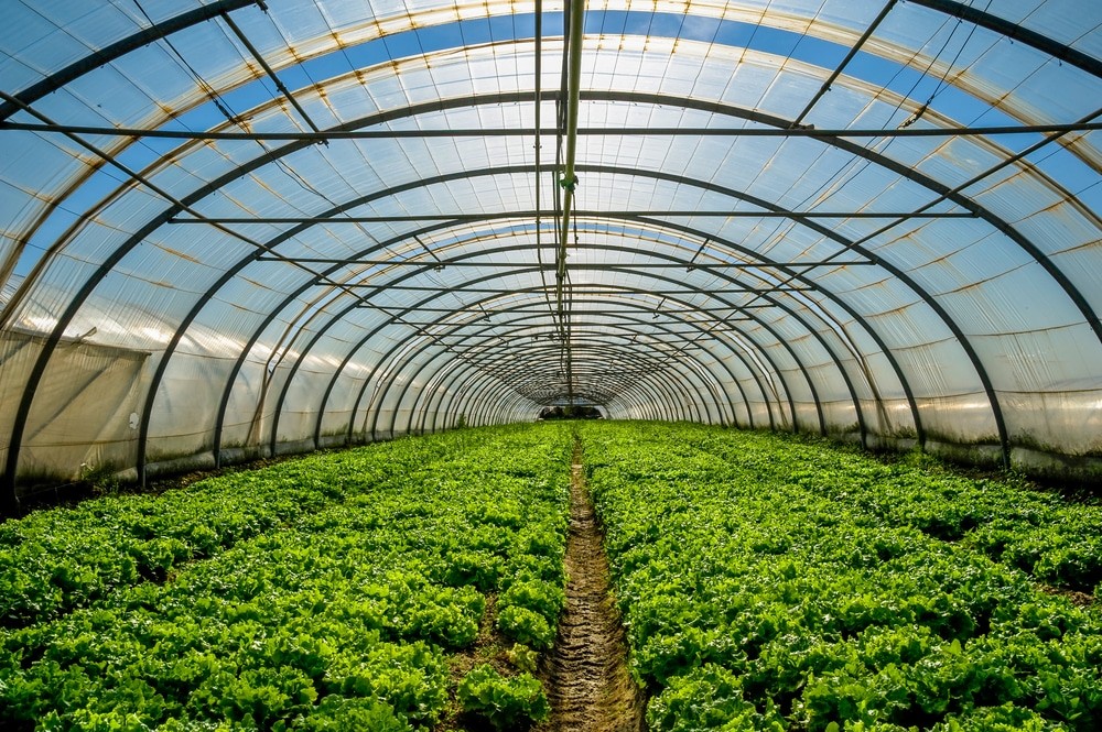 Seven Day Kenya Green Agriculture and Farm Learning Circuit