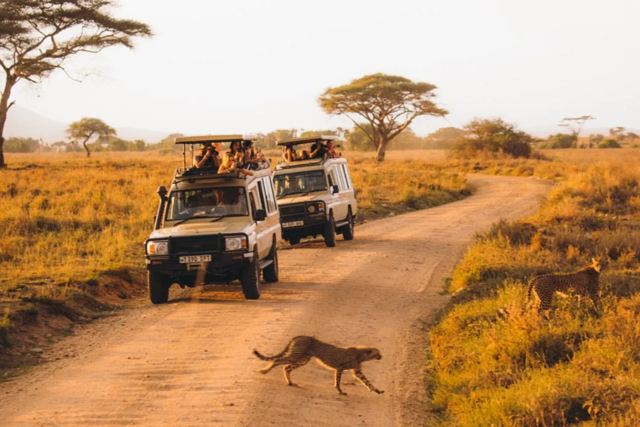 Kenya and Tanzania Safari Planning Guide: Borders, Routes and Realistic Travel Times