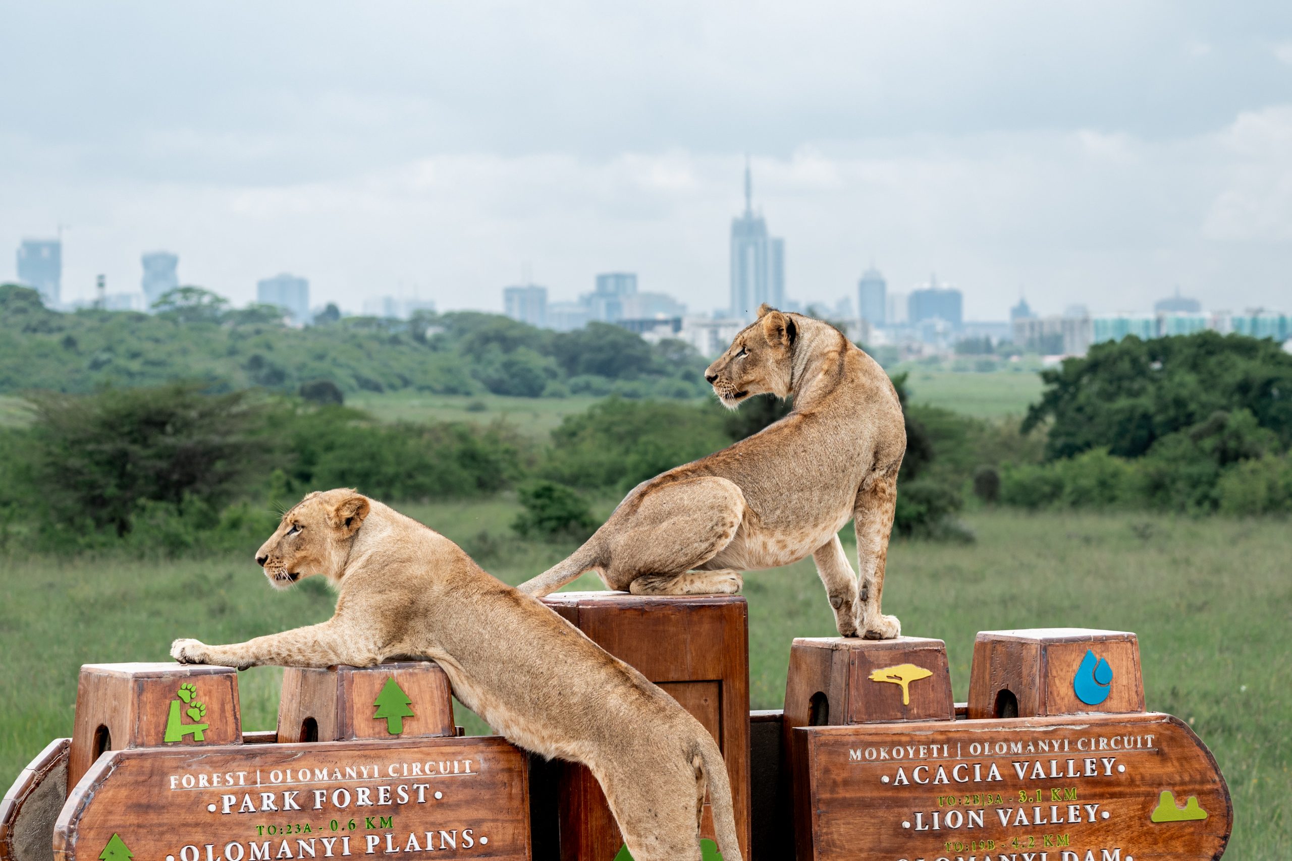 Nairobi National Park