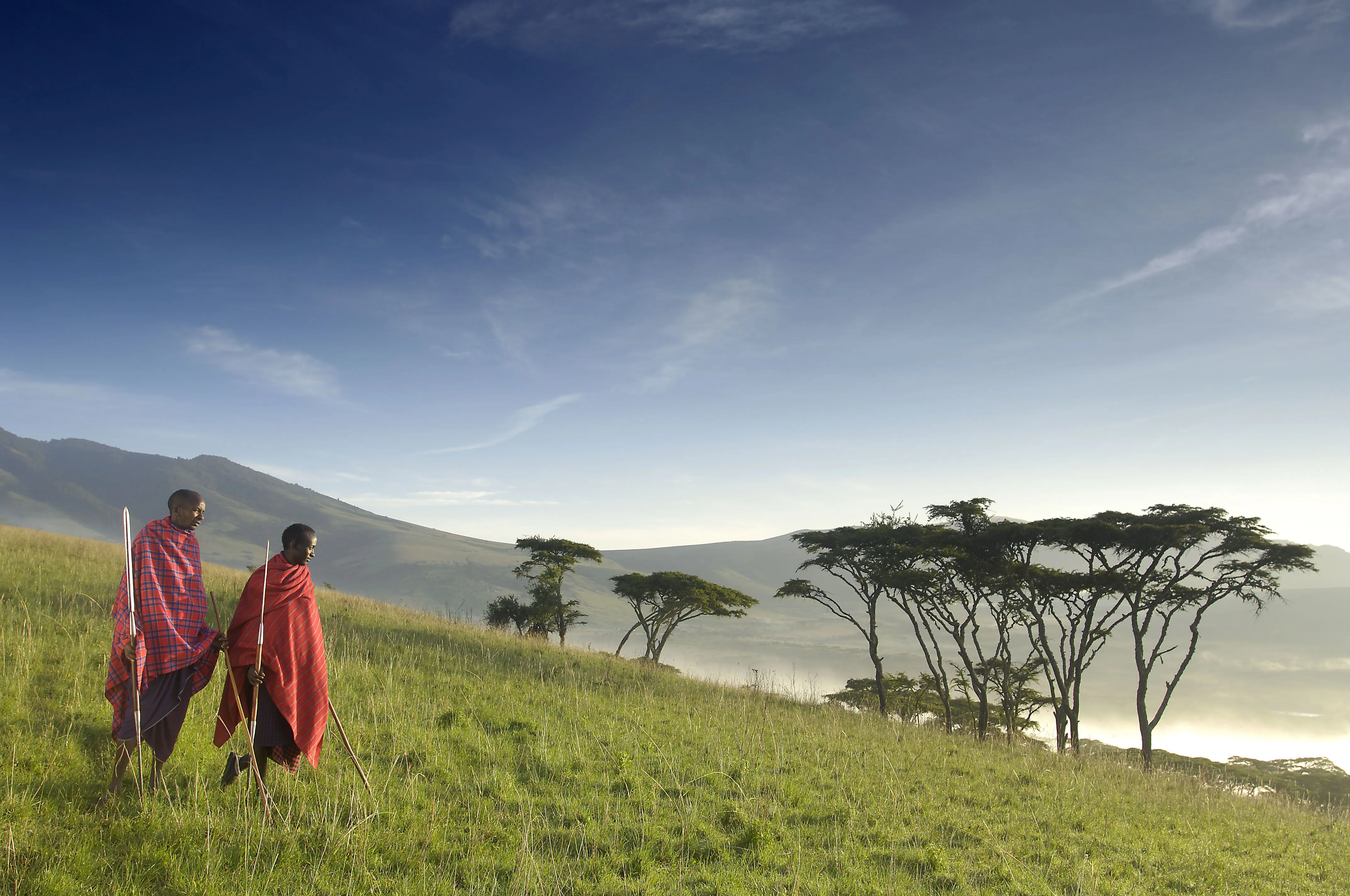 Ngorongoro Highlands