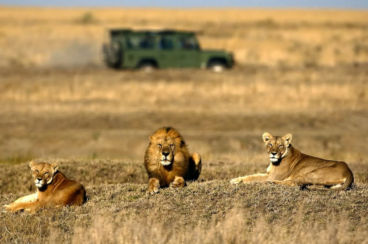 Northern Serengeti