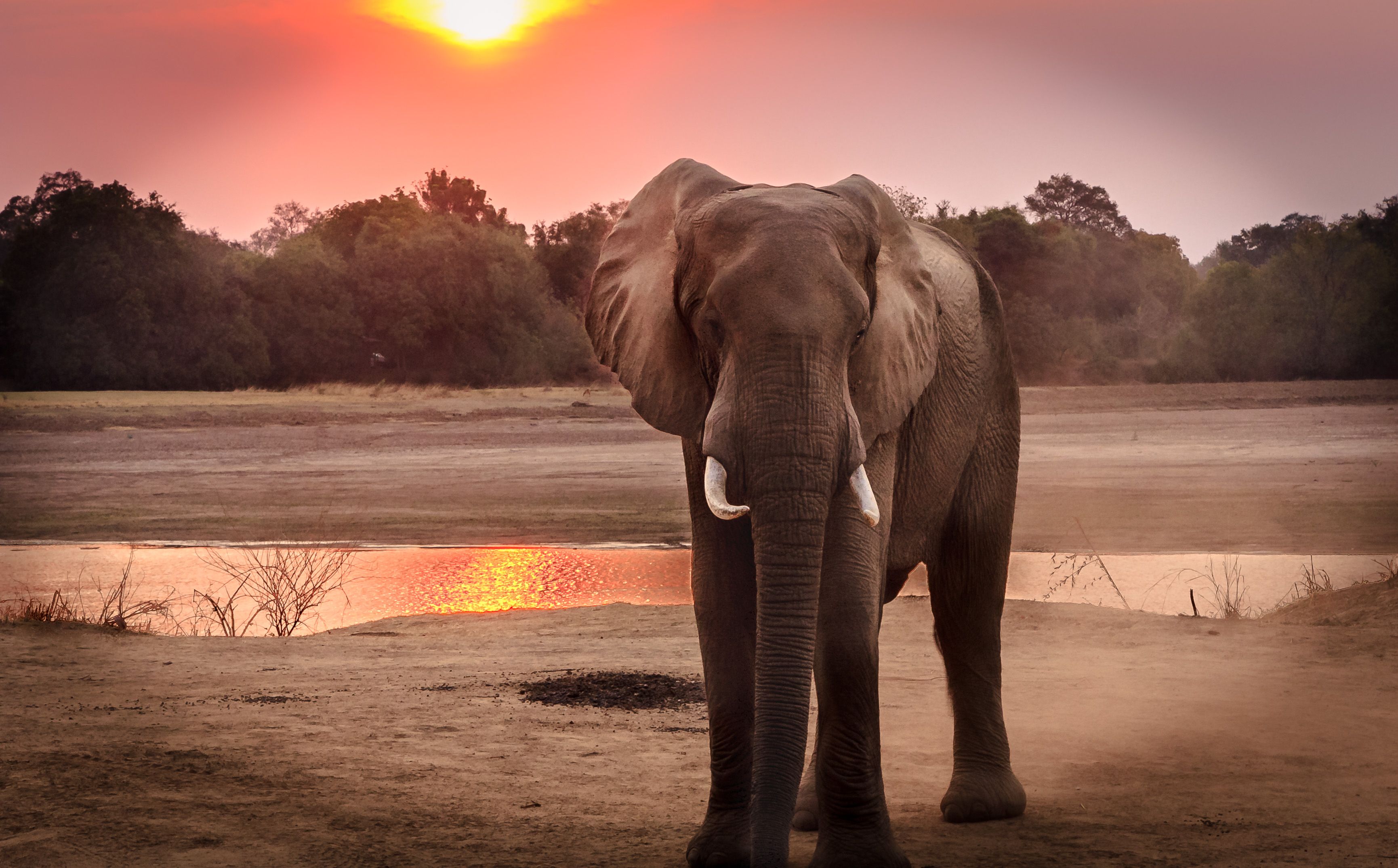 Amboseli National Park