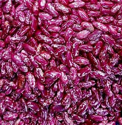 Dry Rosecoco Beans