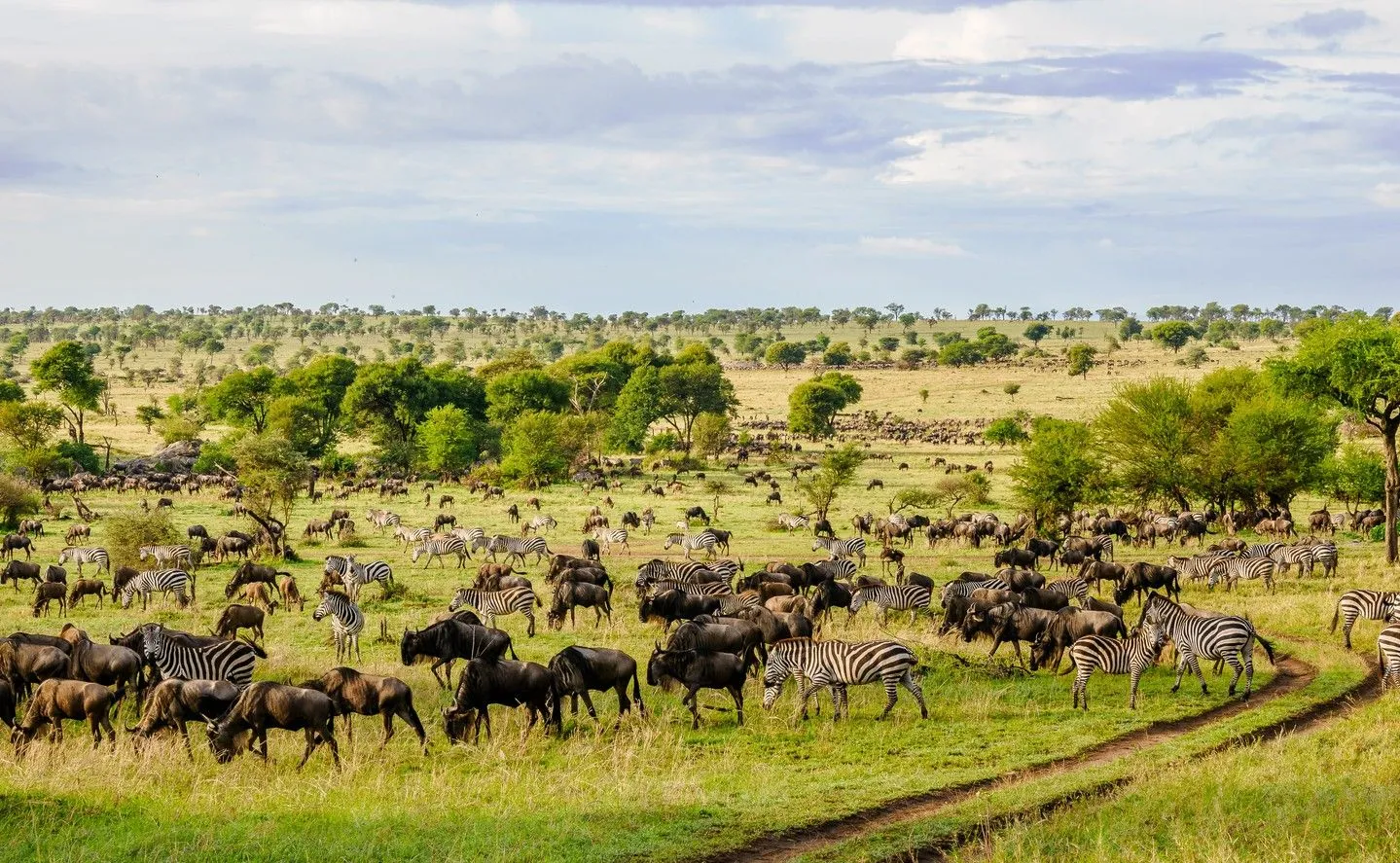 Serengeti National Park