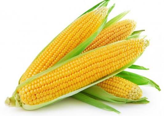 Sweet Corn Cobs