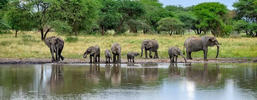tarangire-national-park