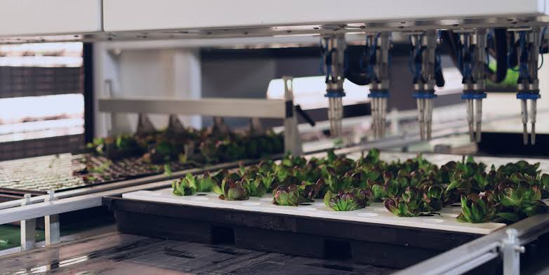 The Waikato Agritech & Nocturnal Forest Safari